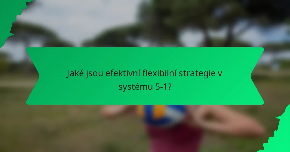 Jaké jsou efektivní flexibilní strategie v systému 5-1?